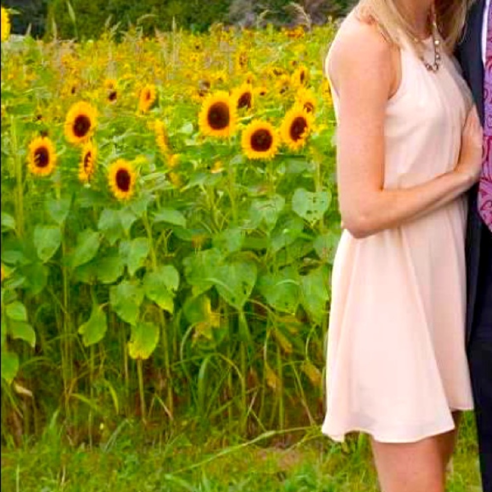 Lush Blush Color Mini Length Dress